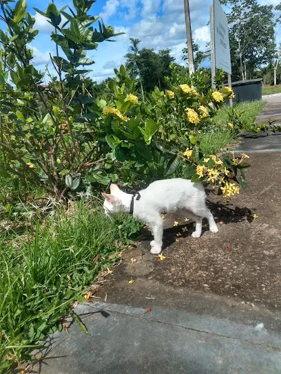 Foto de Hospital Veterinario, uma clínica veterinária em Rio Branco