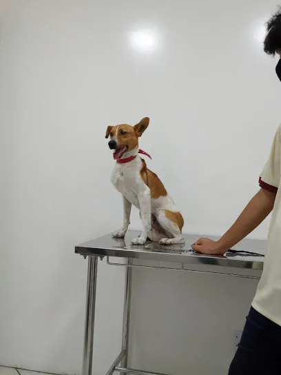 Foto de HOUSE PET FRANCO DA ROCHA, uma clínica veterinária em Metropolitana de São Paulo