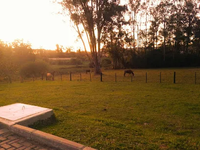 Foto de HVU - Hospital Veterinário Universitário de SM, uma clínica veterinária em Centro Ocidental Rio-grandense