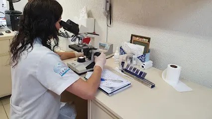 Imago - Diagnóstico Veterinário por Imagem en Piracicaba