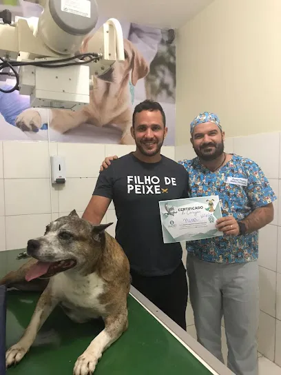 Imagem em destaque de IMAVET LABORATÓRIO E IMAGEM VETERINÁRIA (ARAPIRACA), uma clínica veterinária em Arapiraca