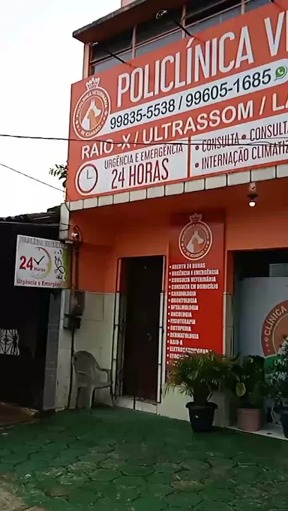 Imagem do melhor veterinário em Belém