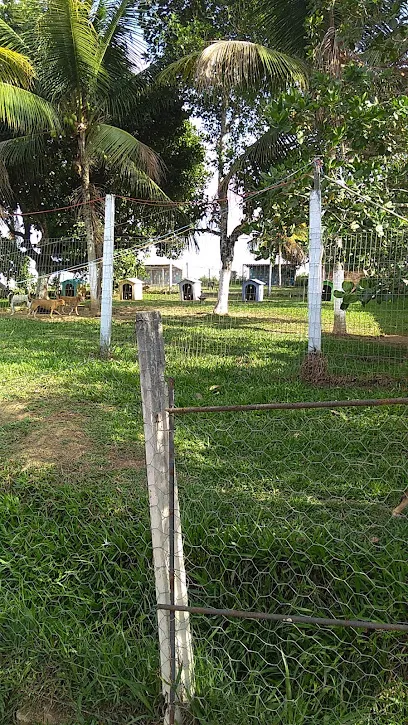 Foto de Instituto Renata Mendes, uma clínica veterinária em Pernambuco