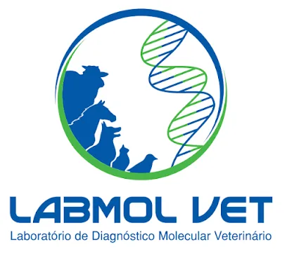 Imagem do melhor veterinário em Campo Grande