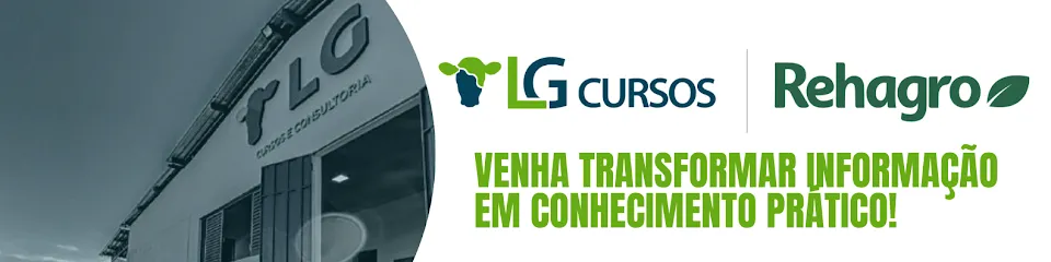 LG Cursos en Oeste de Minas