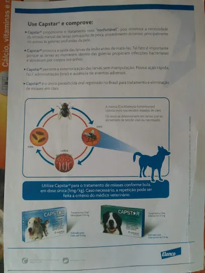 Imagem do melhor veterinário em Pacaraima