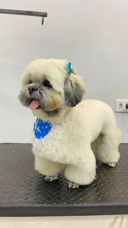 Foto de Marivet Clinica Veterinária, uma clínica veterinária em Norte Mato-grossense