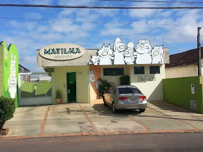 Matilha Clínica Veterinária en São Paulo