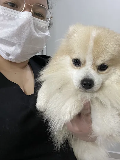 Foto de Médica Veterinária Thalita Silva - atendimento a domicílio, uma clínica veterinária em Belém