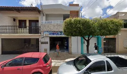 Imagem do melhor veterinário em Litoral de Aracati