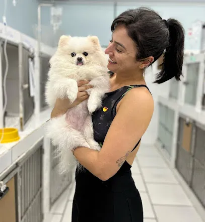 Nefrologista Veterinária Dra Ellen Gomes en Vale do Rio Doce