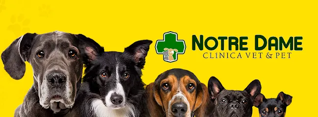 Notre Dame Clinica Vet & Pet en Norte Catarinense