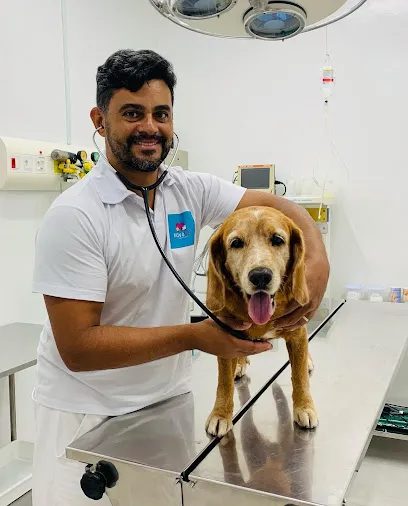 Foto de Novavet Trancoso Clínica Veterinária, uma clínica veterinária em Sul Baiano