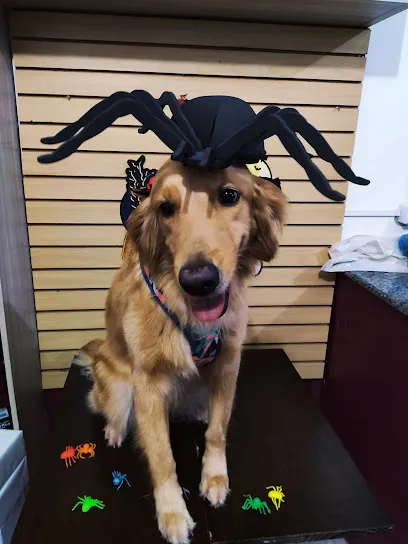 Foto de Patas E Pelos Veterinário, uma clínica veterinária em Marabá