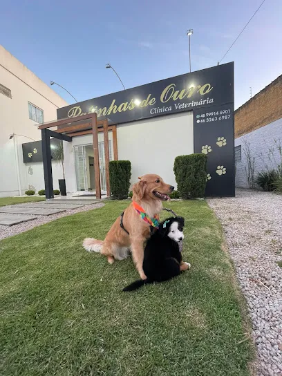 Patinhas de Ouro Clínica Veterinária en Grande Florianópolis