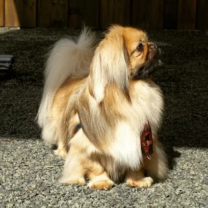 Foto de Pelos e Patas Clínica Veterinária e Pet Shop, uma clínica veterinária em Sul Catarinense