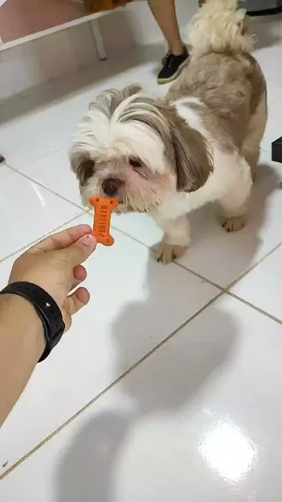 Pelos e Penas Clínica Veterinária en Porto Velho