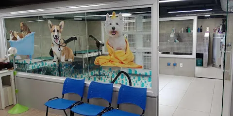 Imagem do melhor veterinário em Sena Madureira