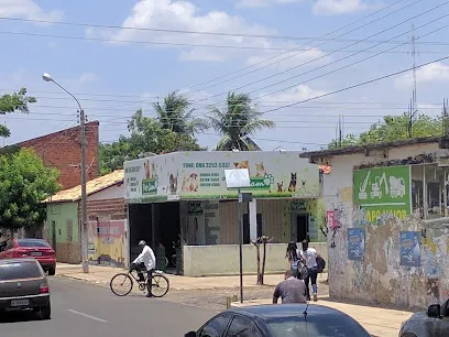 Imagem do melhor veterinário em Campo Maior