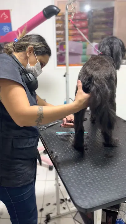 Imagem do melhor veterinário em Água Doce do Maranhão