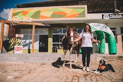 Pet Clínica Gaia en Jequitinhonha