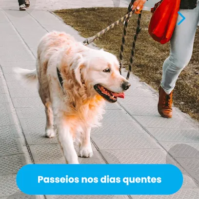 Pet Clínica Veterinária en Sul/Sudoeste de Minas