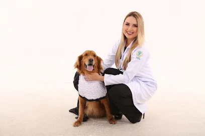 Imagem em destaque de PET FILHOS - Assistência Veterinária, uma clínica veterinária em Metropolitana de Recife