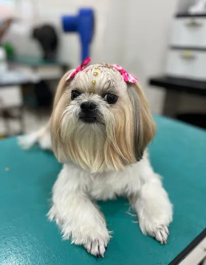 Foto de Pet Shop Agrocampo, uma clínica veterinária em Tucuruí