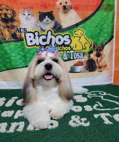 PET SHOP BICHOS E CAPRICHOS en Castanhal