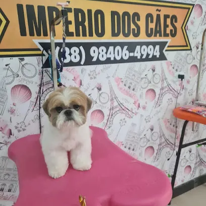 Pet shop e Banho e tosa em Diamantina en Jequitinhonha