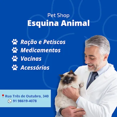 Imagem do melhor veterinário em Guamá