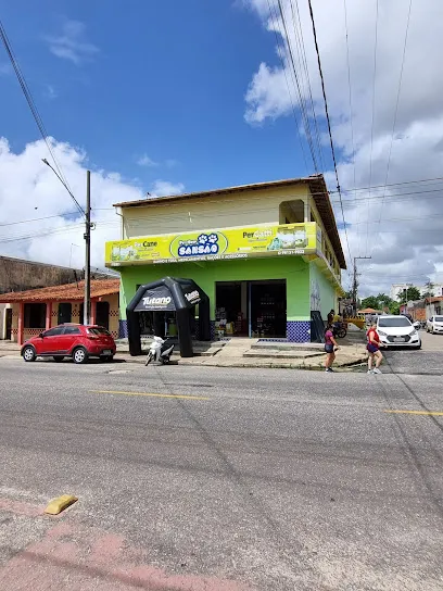 Imagem do melhor veterinário em Santo Antônio do Tauá