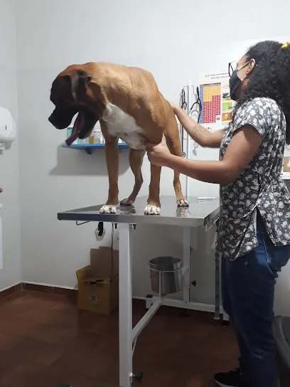 Pet Vet Clínica Veterinária en Araçatuba