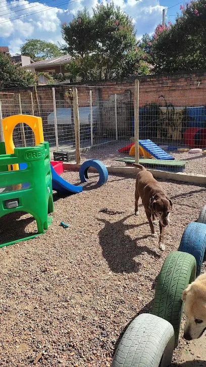 Foto de PetCenter Medivet, uma clínica veterinária em Norte Catarinense