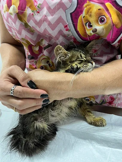 Planeta Pets Goiânia Clinica Veterinaria 24hs, Cirurgia, Internação, Castração, Ortopedista Veterinária, Exames para Animais en Centro Goiano