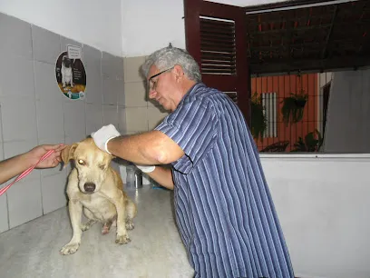 Foto de Policlínica Veterinária, uma clínica veterinária em Sudoeste Piauiense