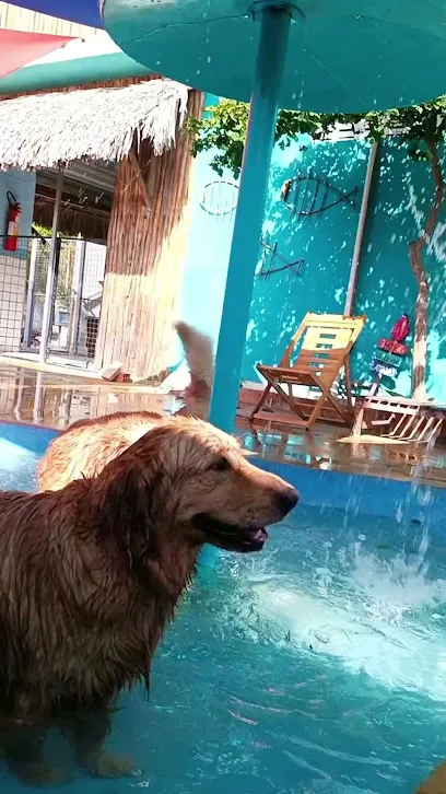 Foto de Praia dos Bichos Clínica Veterinária e Pet Shop, uma clínica veterinária em Leste Maranhense