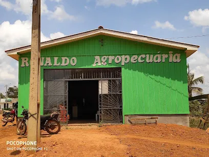 Ronaldo agropecuária en Porto Velho