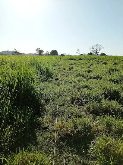 @rroba Consultoria em Agronegócios en Ariquemes