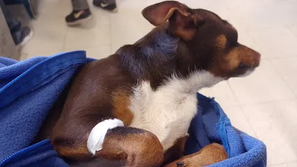 Foto de Salud Animal, uma clínica veterinária em Paraná