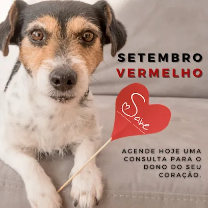 Imagem do melhor veterinário em Passo Fundo