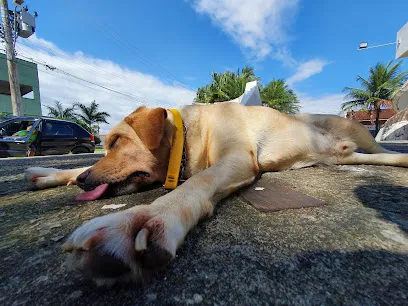 SOS Cão Caraguá en Vale do Paraíba Paulista