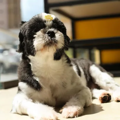 Foto de SOU VET HOSPITAL VETERINARIO, uma clínica veterinária em Paraíba