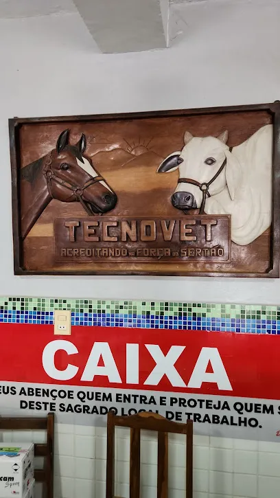 Imagem do melhor veterinário em Santa Quitéria