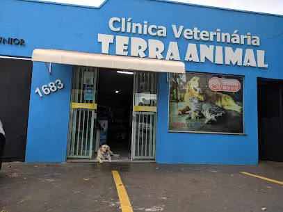 Foto de Terra Animal, uma clínica veterinária em Presidente Prudente