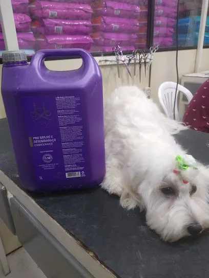 Imagem em destaque de Terra Fértil Pet shop, banho e tosa, uma clínica veterinária em Roraima