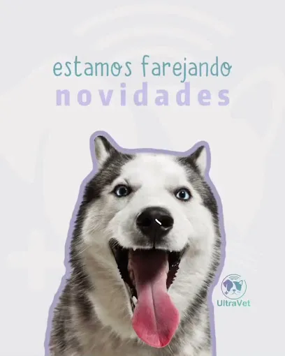 Imagem em destaque de UltraVet - Clínica Veterinária, uma clínica veterinária em Ferreira Gomes