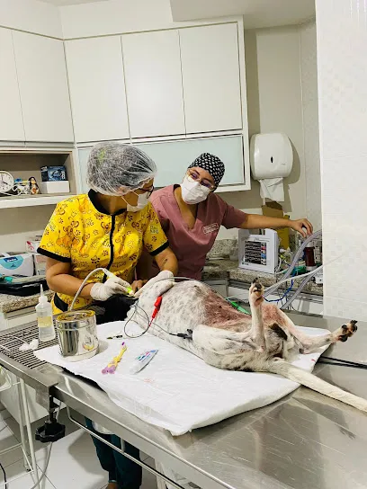 UNIPET Centro Veterinário en Centro Sul Baiano