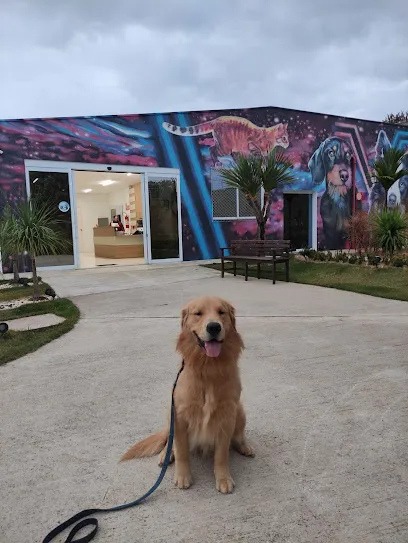 UnisPet Clínica Veterinária en Sul/Sudoeste de Minas