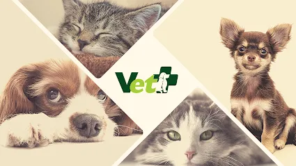 Imagem em destaque de Vet+ | Centro Médico Veterinário 24h, uma clínica veterinária em Barra do Piraí